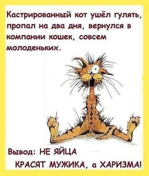 Кастрироваииый кит ушёл гулять пропел на два дня вернулся в компании кошек совсем молошьких вывод на яйцд кнсят мужим а хдризмм