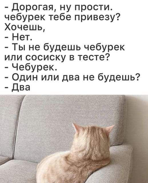 Дорогая ну прости чебурек тебе привезу Хочешь Нет Ты не будешь чебурек или сосиску в тесте Чебурек Один или два не будешь Два