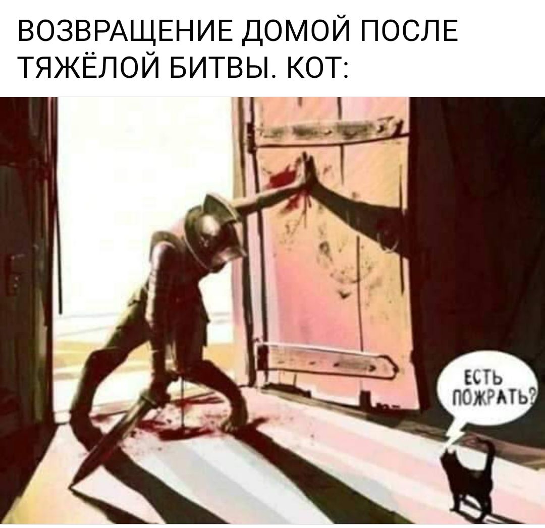 ВОЗВРАЩЕНИЕ домой ПОСЛЕ тяжёлой БИТВЫ кот