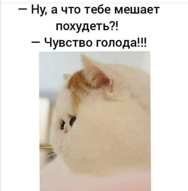 Ну а что тебе мешает похудеть Чувство голода