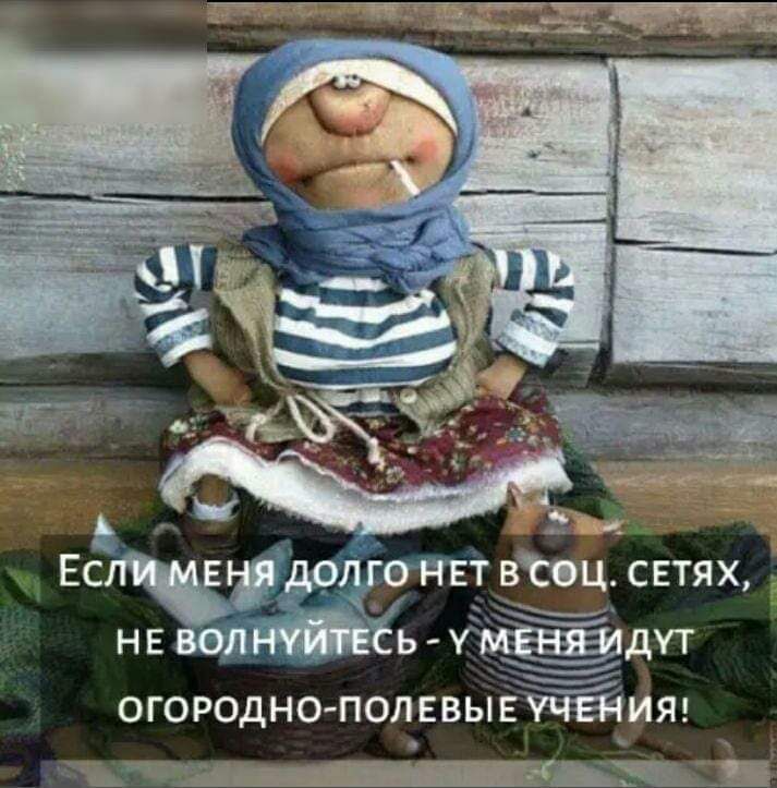 _ ь дут _ огородно полввывЙейияг Е Ш в