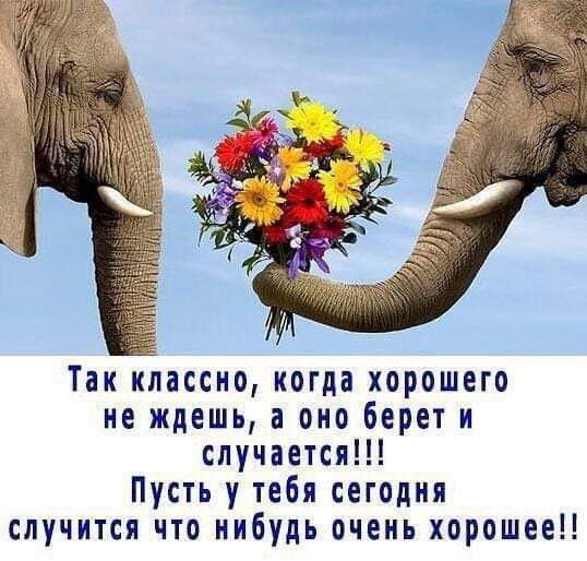 Так классно когда хорошего не ждешь а оно берет и случается Пусть у тебя сегодня случится что нибудь очень хорошее