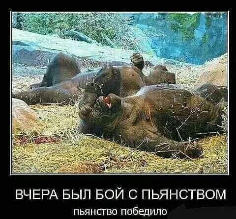 ВЧЕРА БЫЛ БОЙ С ПЬЯНСТВОМ пьянсгвп победило