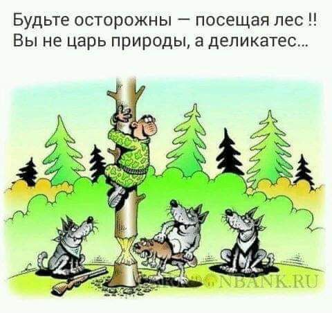 Будьте осторожны посещая лес Вы не царь природы а деликатес