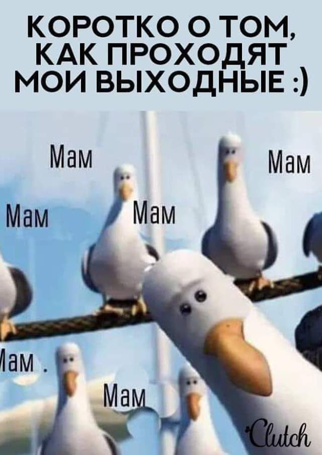 КОРОТКО О ТОМ КАКПРОХОДЯТ МОИВЫХОДНЫЕЭ Мам _ Мам