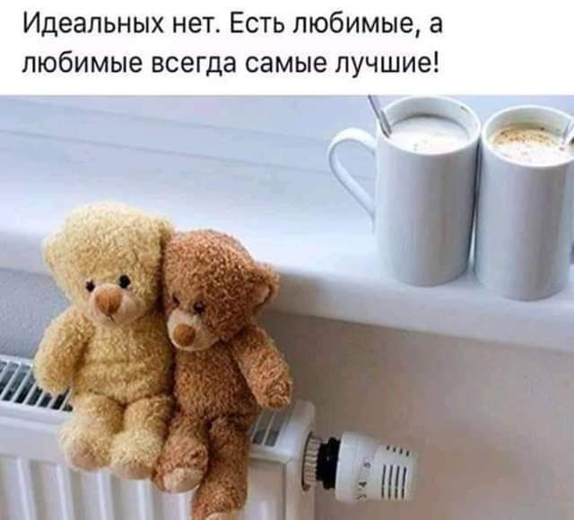 Идеальных нет Есть любимые а любимые всегда самые лучшие