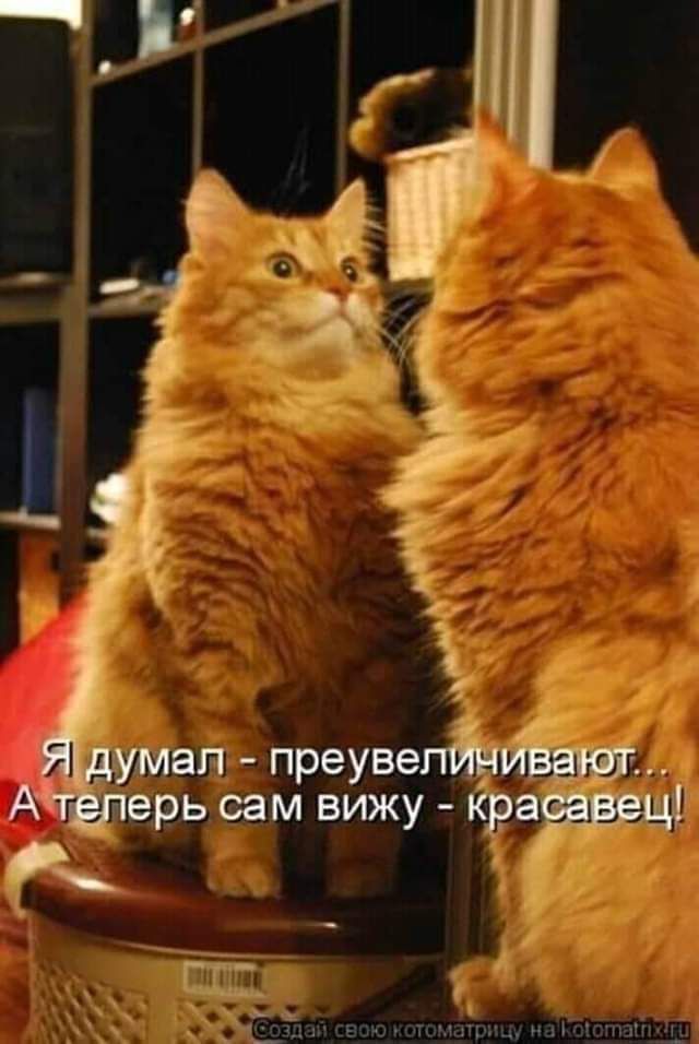 вп преуве врь ам вижу Кра
