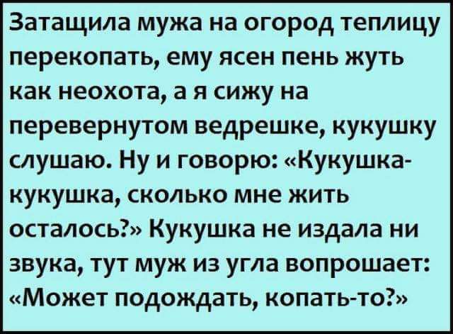 Затащила мужа на огород теплицу перекопать ему ясен пень жуть как неохота а я сижу на перевернутом ведрешке кукушку слушаю Ну и говорю Кукушка кукушка сколько мне жить осталось Кукушка не издала ни звука тут муж из угла вопрошает Может подождать копать то