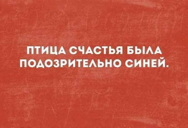 ПТИЦА СЧАСТЬЯ БЫАА ПОАОЗРИТЕАЬНО СИНЕЙ