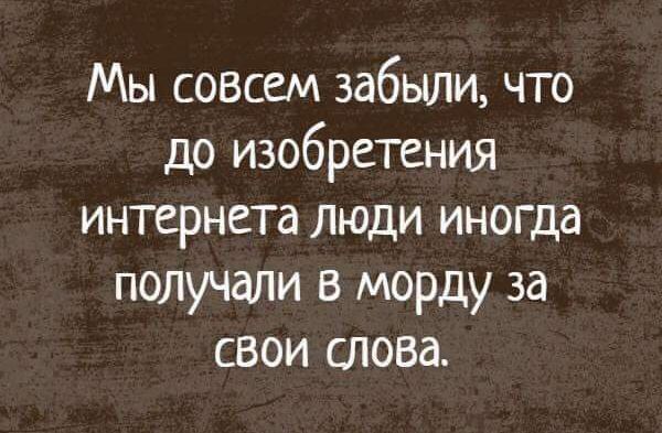 Мы совсем забыли что до изобретения интернета люди иногда получали в морду за свои слова
