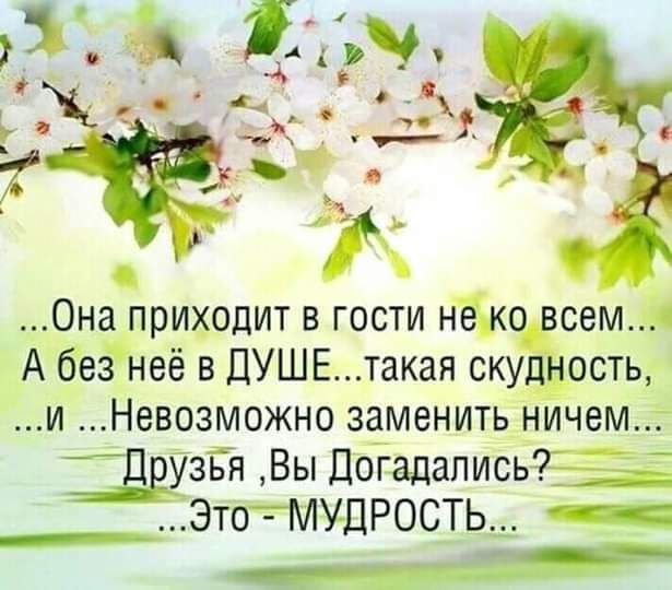 Она приходит в гости нём сем А беёнеё в ПУШЕтакая ску есть и Невозможно заменить ничем узЁя Вы ДоЪадаписьТЁ ЭТК МУДРОСТЬ _ м