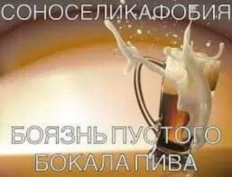 СОНОСЕ икАФО ия
