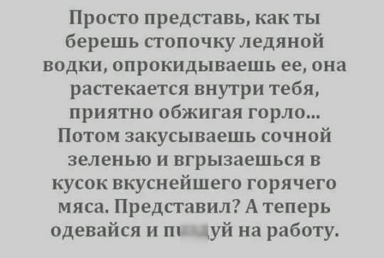 Просто представь как ты берешь стопочку ледяной водки опрокидываешь ее она рапекается внутри тебя приятно обжигая горло Потом закусываешь сочной зеленью и нгрызаешься в кусок вкуснейшего горячего мяса Представил А теперь одевайся и пь дуй на работу