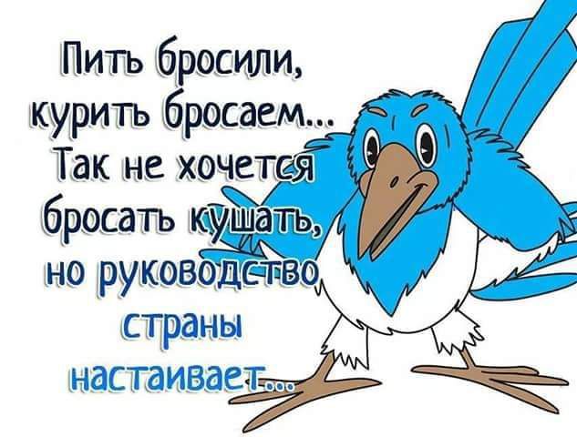 эПитъ бросили курить бросаем Так не хочет бросать но руковоцетвэ праны НЕСТдИВдЗч