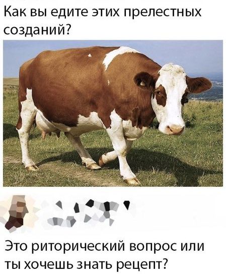 Как вы едите этих прелестных созда ни й Р Г Это риторический вопрос или ты хочешь знать рецепт