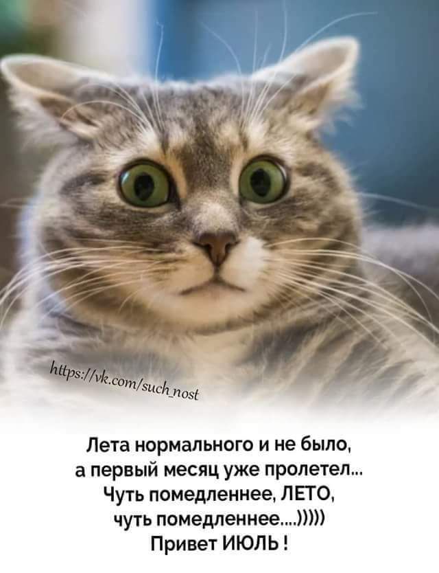 Лета нормального и не было а первый месяц уже пролетел Чуть помедленнее ЛЕТО чуть помедленнеет Привет ИЮЛ Ь