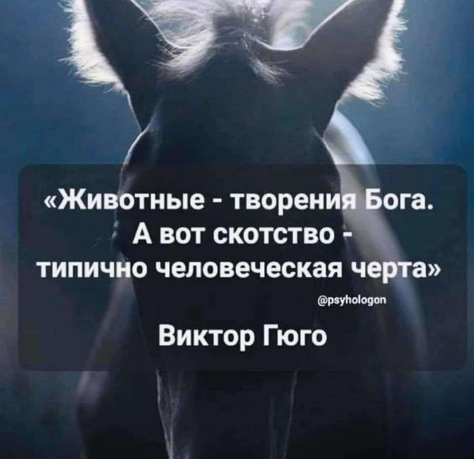 А вот скотство типичио человеческая ч Виктор Гюго