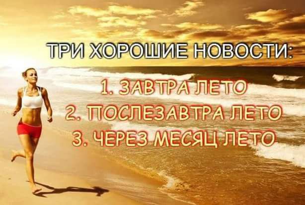 за РШИЕ НВЭСЁГИ Ёж
