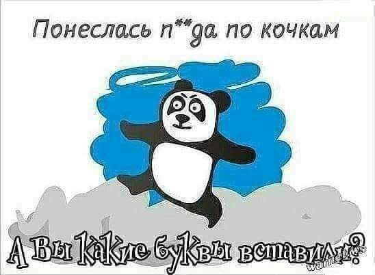 Понеслась п91 по кочкам