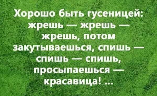 Звук жрешь жру. Хорошо быть гусеницей. Везет гусенице жрет жрет. Гусеницы жрут траву Мем. Потерпите еще немного потом жрать.