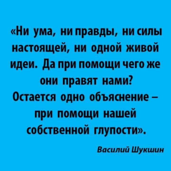 дожитьиш илиі тдпитии и М М