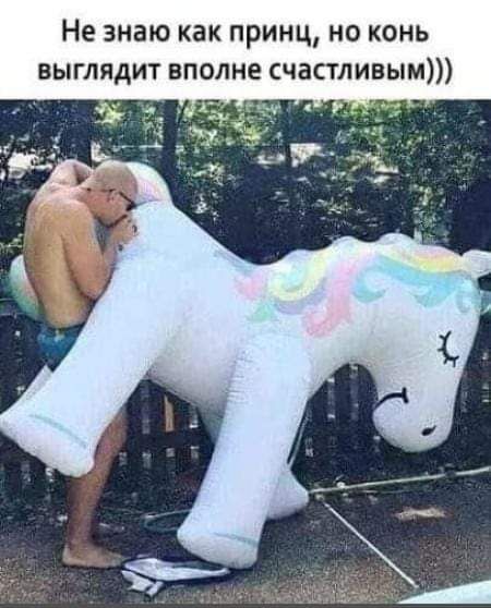 Не знаю как принц но конь выглядит вполне счастливым