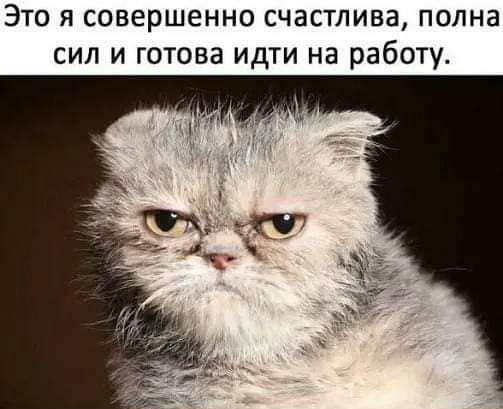 Это я совершенно счастлива полна сил и готова идти на работу