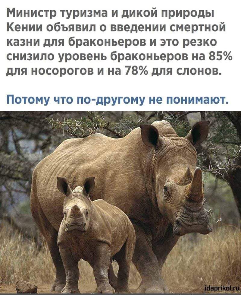 Министр туризма и дикой природы Кении объявил о введении смертной казни для браконьеров и это резко снизило уровень браконьеров на 85 для носорогов и на 78 для слонов Потому что по другому не понимают