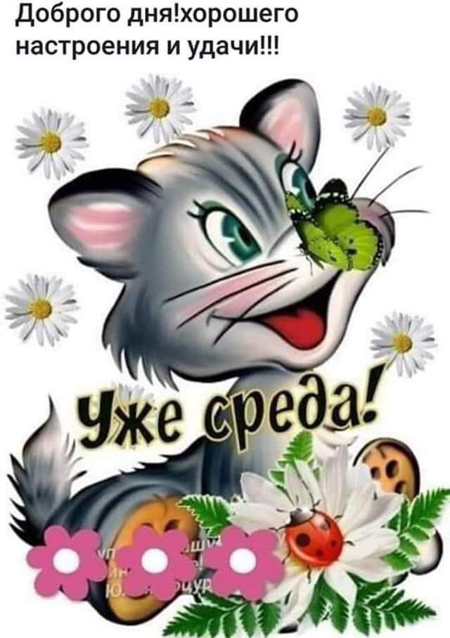 доброго дняхорошего настроения и удачи