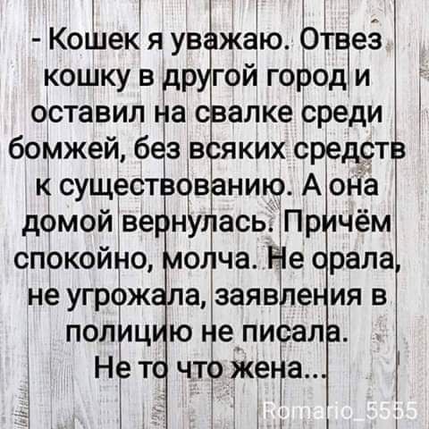 КоШекяув жаю 0т ез кошку в др гой городи оставил на алке среди бомжей безв яких средст ксущест в ниюАона домойве нУ ась Пр чём спокойно оЕча е рапа не угрож азаяЁе ияв полиц юнепи ал НЕт чтёжейш 4 імч