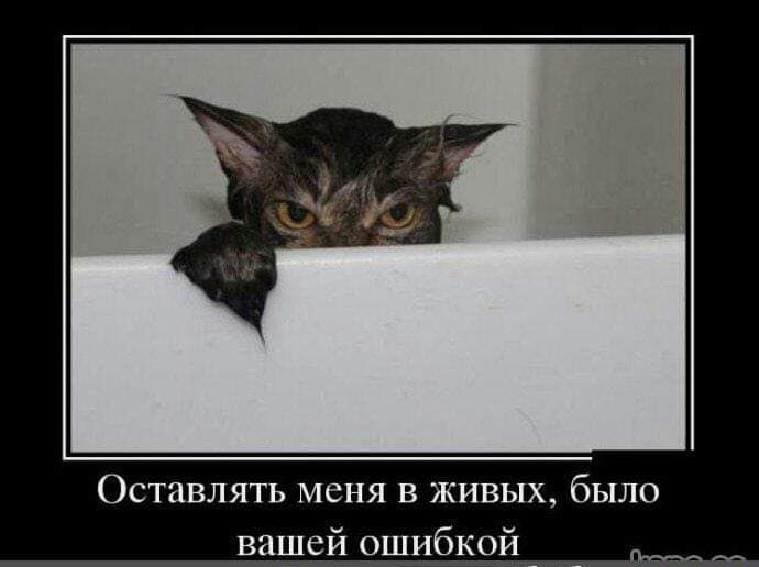 Оставил ь меня в живых было вашей ошибкрй