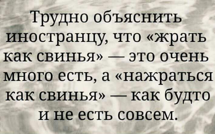 Трудно объяснить ийостранцу что жрать как свинья это очень много есть а нажраться как свинья как будто И не есть совсем