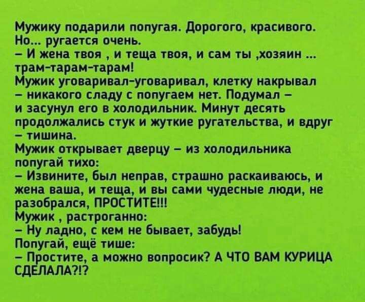 попугая Дорогого красивого ЕВЕНН