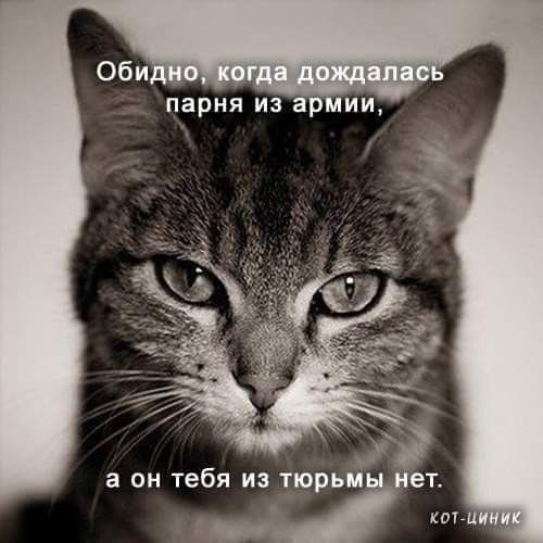 парня из ар ии а он тебя и тюрьм е с