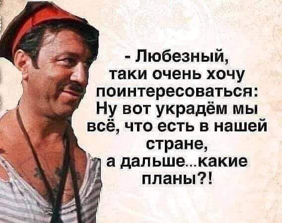Любезный таки очень хочу поинтересоваться Ну вот украдём мы всё что есть в нашей стране а дальшекакие планы
