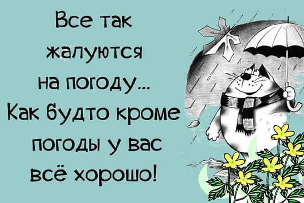 Все так жалуются на погоду Как будто кроме погоды у вас всё хорошо