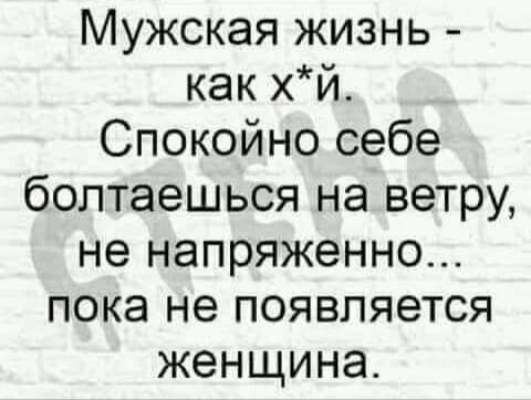 Мужская жизнь как хй Спокойно себе болтаешься на ветру не напряженно пока не появляется женщина