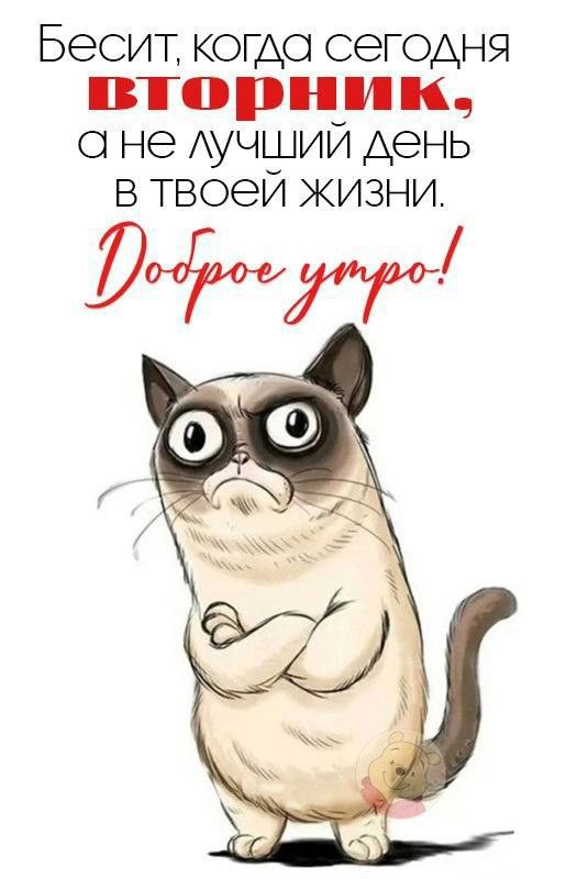 Бесит когда сегодня вторник 0 не АУЧШИЙ день в твоей жизни