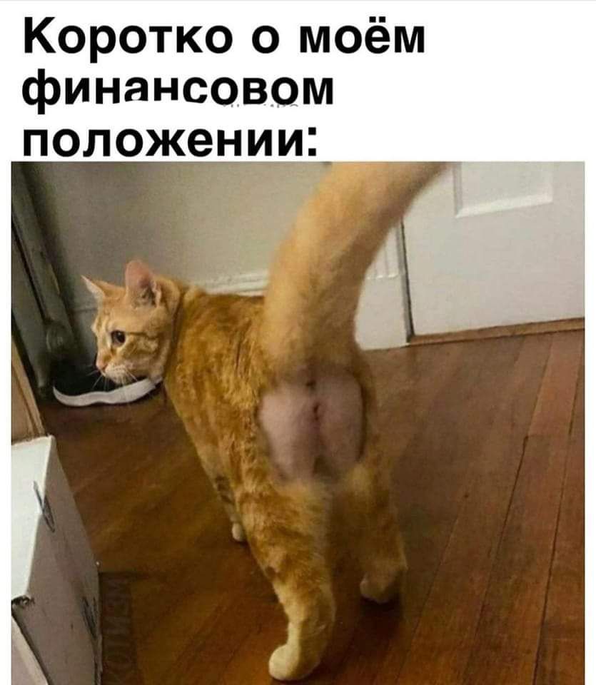 Коротко о моём финансовом положении