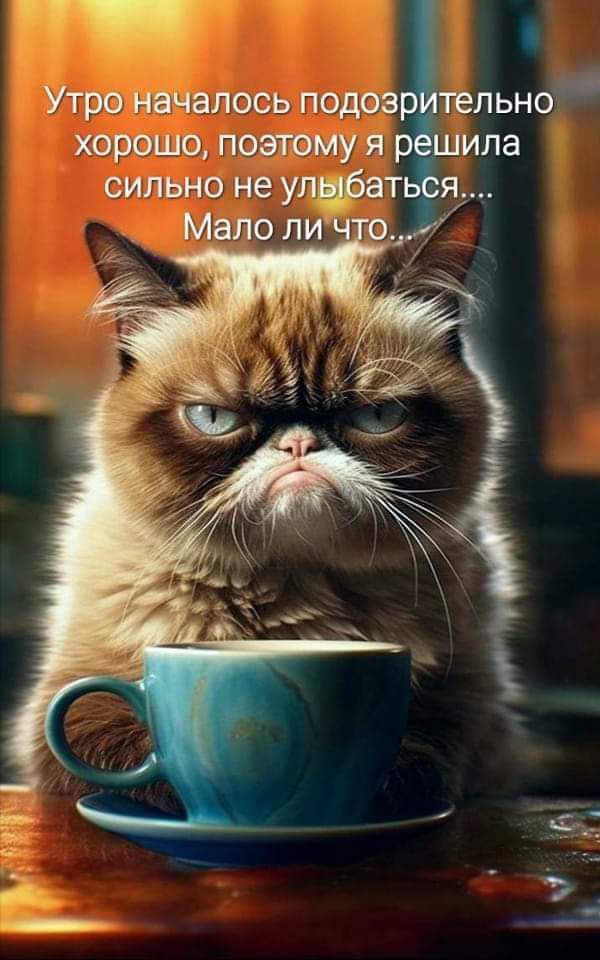 УТРО НВЧЗЛОСЬ ПОДОЗ ТЕЛЬНО