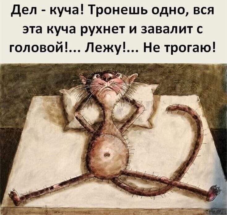 Дел куча Тронешь одно вся эта куча рухнет и завалит с головой Лежу Не трогаю
