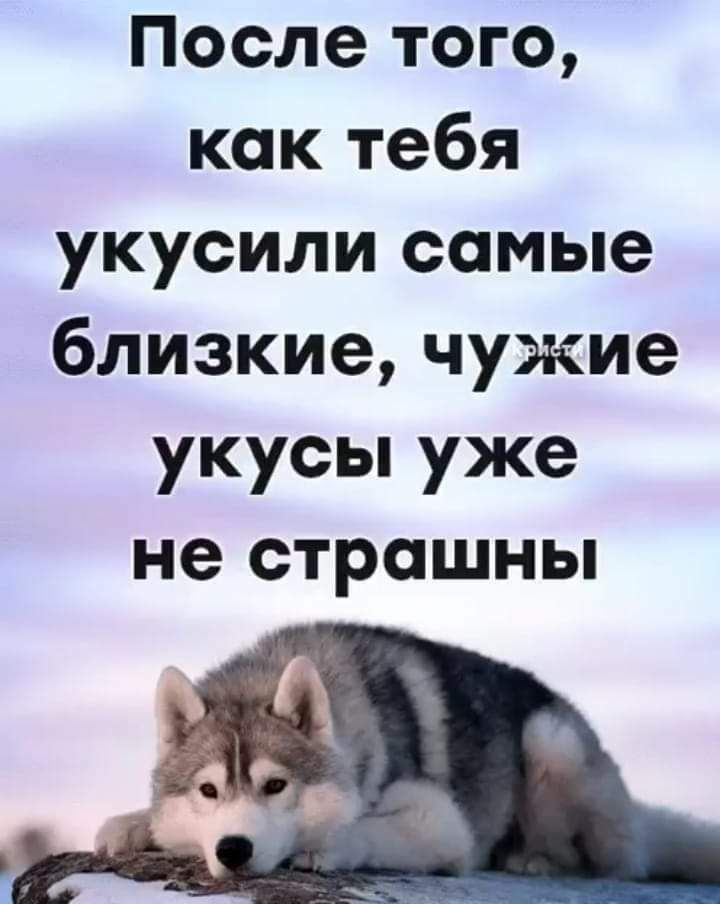 После того как тебя укусили самые близкие чужие укусы уже не страшны