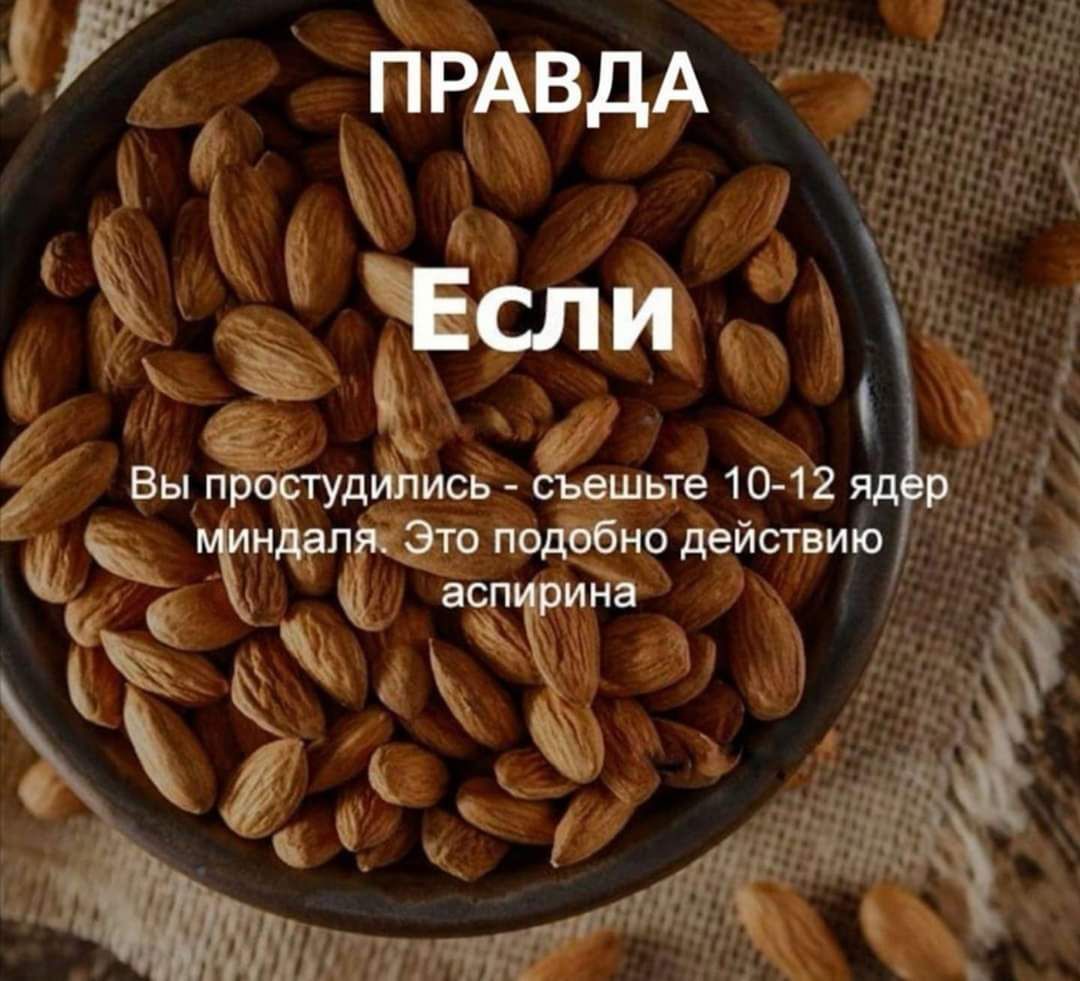ПРАВДА тели Вы прцсгудъйись дівшьте 10 12 яд р _ ТиналвкЭто потбио действию аси ина Фч