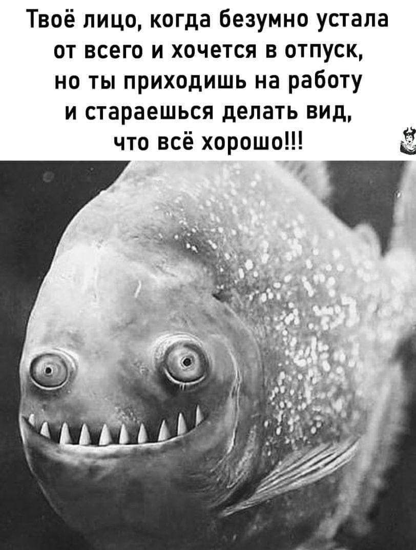 Твоё лицо когда безумно устала от всего и хочется в отпуск на ты приходишь на работу и стараешься делать вид что всё хорошо 3