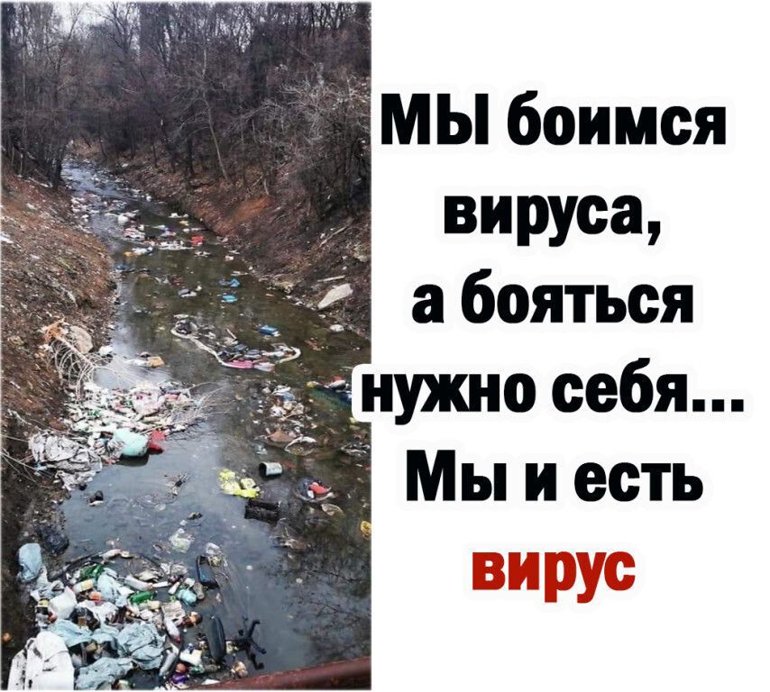 мы боимся вируса а бояться нужно себя Мы и есть вирус