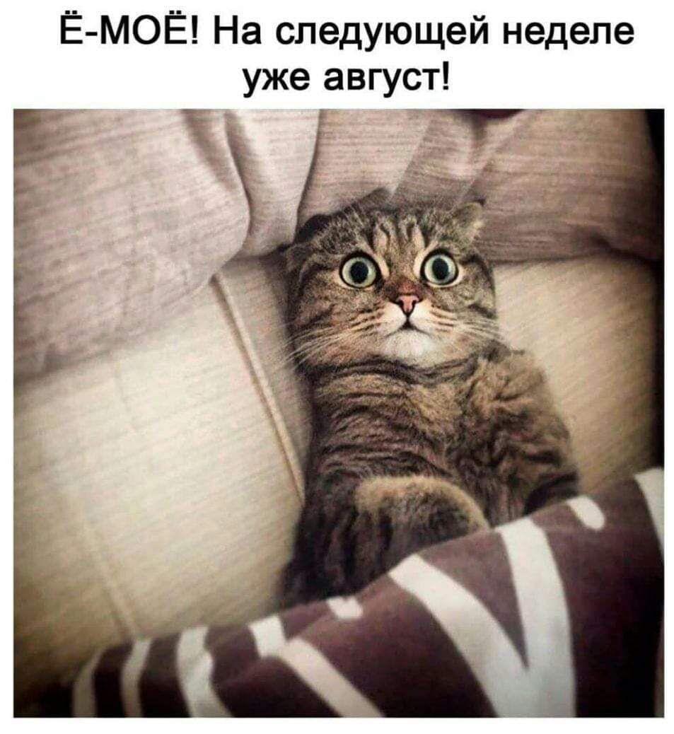 Ё МОЁ На следующей неделе уже август Т