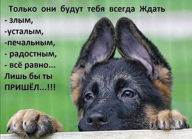 только они будут тебя всегда Ждать злым угталым ПЕЧЗЛЬМЫМ радосгным всё равно_ Лишь бы ты пгишёл