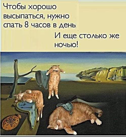 Чтобы хорошо высыпаться нужно спать 8 часов в день И еще стсько же ночью
