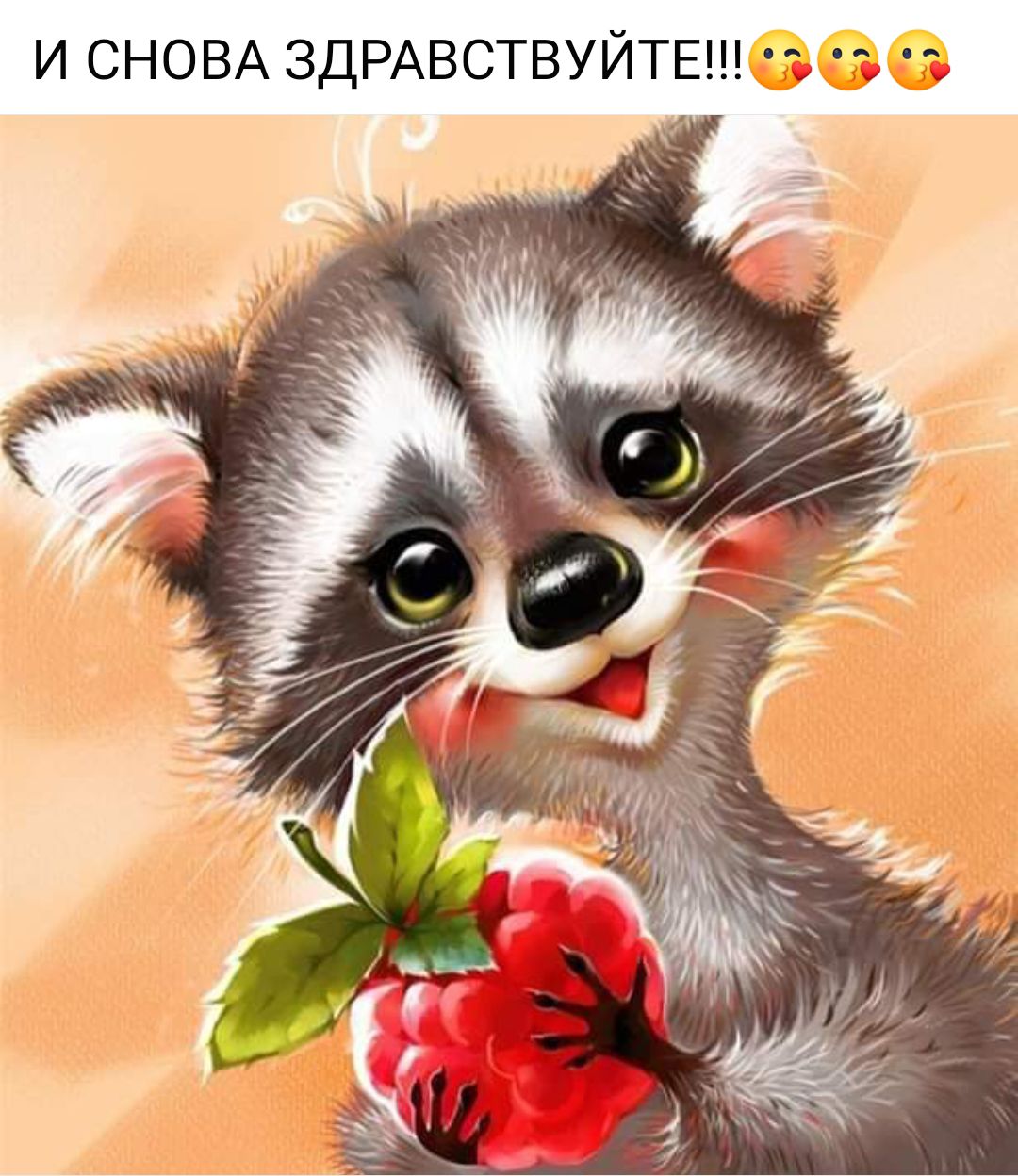 И СНОВА ЗДРАВСТВУЙТЕ З