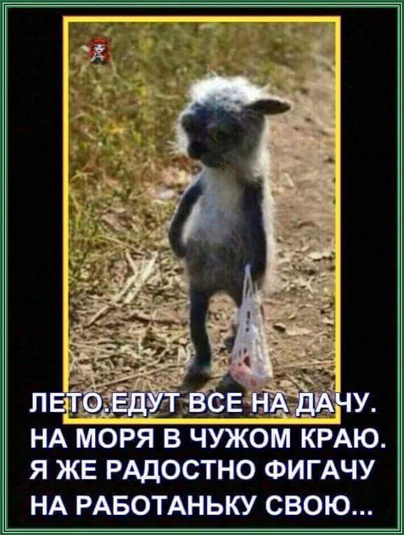 НА МОРЯ В ЧУЖОМ КРАЮ Я ЖЕ РАДОСТНО ФИГАЧУ НА РАБОТАНЬКУ СВОЮ